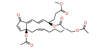 20-Acetoxyclavulone II